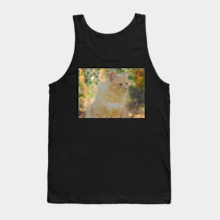 Golden Sun Cat Tank Top